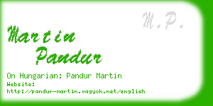 martin pandur business card